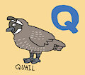 Q is for Quail #1 (My Version) - Quail (The Simpsons)