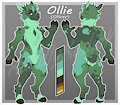 Color Adopt - Oliver