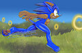 Run! by SonicSpirit