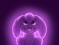 .:: Aural Psynapse ::.