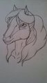 pony sketch