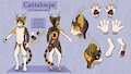 Cantaloupe Ref Sheet by MoonlitTear