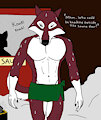 Sauna and visitors by Rollriver