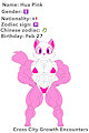 CCGE 2 - Hua Pink by CrossCityLA