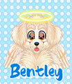 Bentley Badge