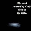Nova Quotes 081325 by goodboynova00