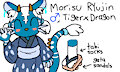 Meet my OC, Mōrisu Ryūjin by fur1essshe1ter