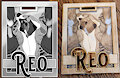 Reo 3D Badge by Dbruin