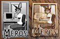 Meros3D by Dbruin