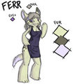Ferr Reference by Odamn