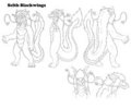 Selth Ref
