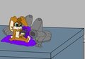 SHRUNK BUNNIE 