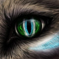 Commission by Kodriak: Gift-Eyecon for Hellkiller777 by DanteRageWolfington