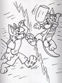Flash VS. Dingoroo