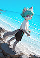 Tuxley on the beach