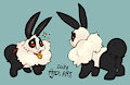 PandaVee by Flipside