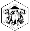 Shaman (fanart) (black and white) by masterzoroark666