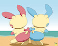Plusle and Minun Bump by pichu90