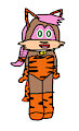 Sari In A Tiger Costune