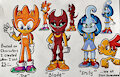 Sonic OC's - We All Start Somewhere!` by AciedSpade