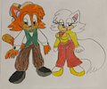 Danny and Sawyer Sonic style by PrincessShannon