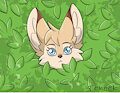 Little Fennec Fox by fennekfuchs