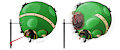 (C) Froppy Go Poppy by InflateResponsiblyIB