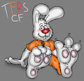 Mr Whiskers Paws by TheRedSkunk