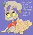 Smelly Bunny Feet by RourooBoy