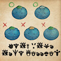 Know Your Oran Berries! by Arcfiend150