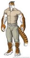 Tiger in uniform
