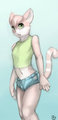 Summer Kitty
