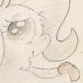 Of Apples and Horses
