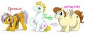 Pony pony pony