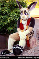 My New Fursuit!