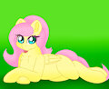 fluttershy by sheepsigil