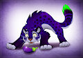 2025 Garders Egg Plant by gard3r