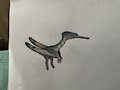 Are ctenochasmatoids like ducks? by Harpagornis