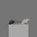 Oracle Rats by Merlin