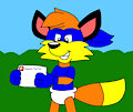 Stephen the Fox's Letter