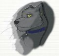 My icon  by KaleShadowWalker