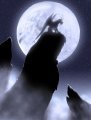 Under the Moon  by Erkhyan