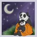 Mitis and Mai Meditation and Star Gazing. by Wakka