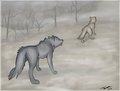 Ellaro and the Tan-Eared Wolf