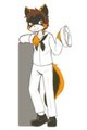 [3dsComm] Bobby the Sailor