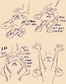pets by Animancer