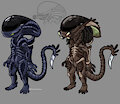 Update on my Xenomorph sona by domadordedinoss