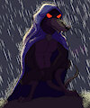 Shadow by TheBigBlackCod