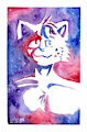 Cosmos in you - Tuna the cat by AleTails