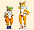 Modern Tails & Classic Tails by DoomLazy